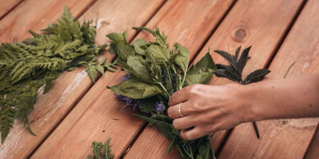 Gazpacho di zucchine con edera terrestre