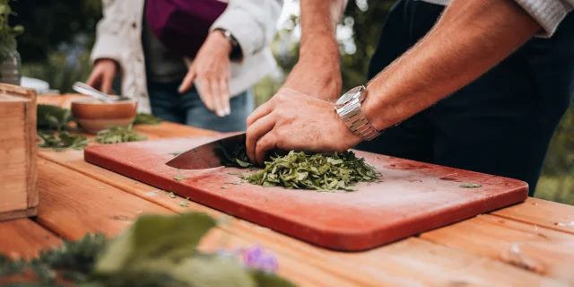 Gazpacho di zucchine con edera terrestre