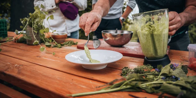 Gazpacho di zucchine con edera terrestre