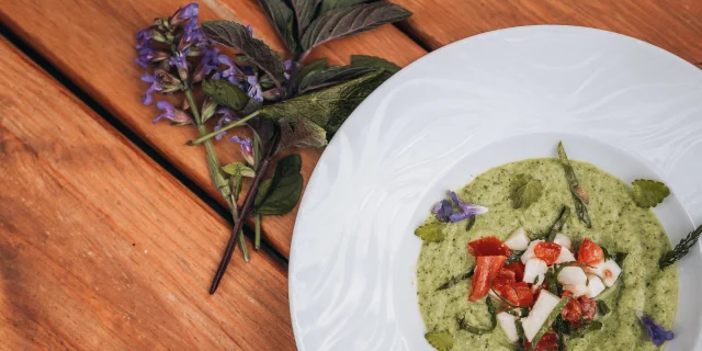 Gazpacho di zucchine con edera terrestre
