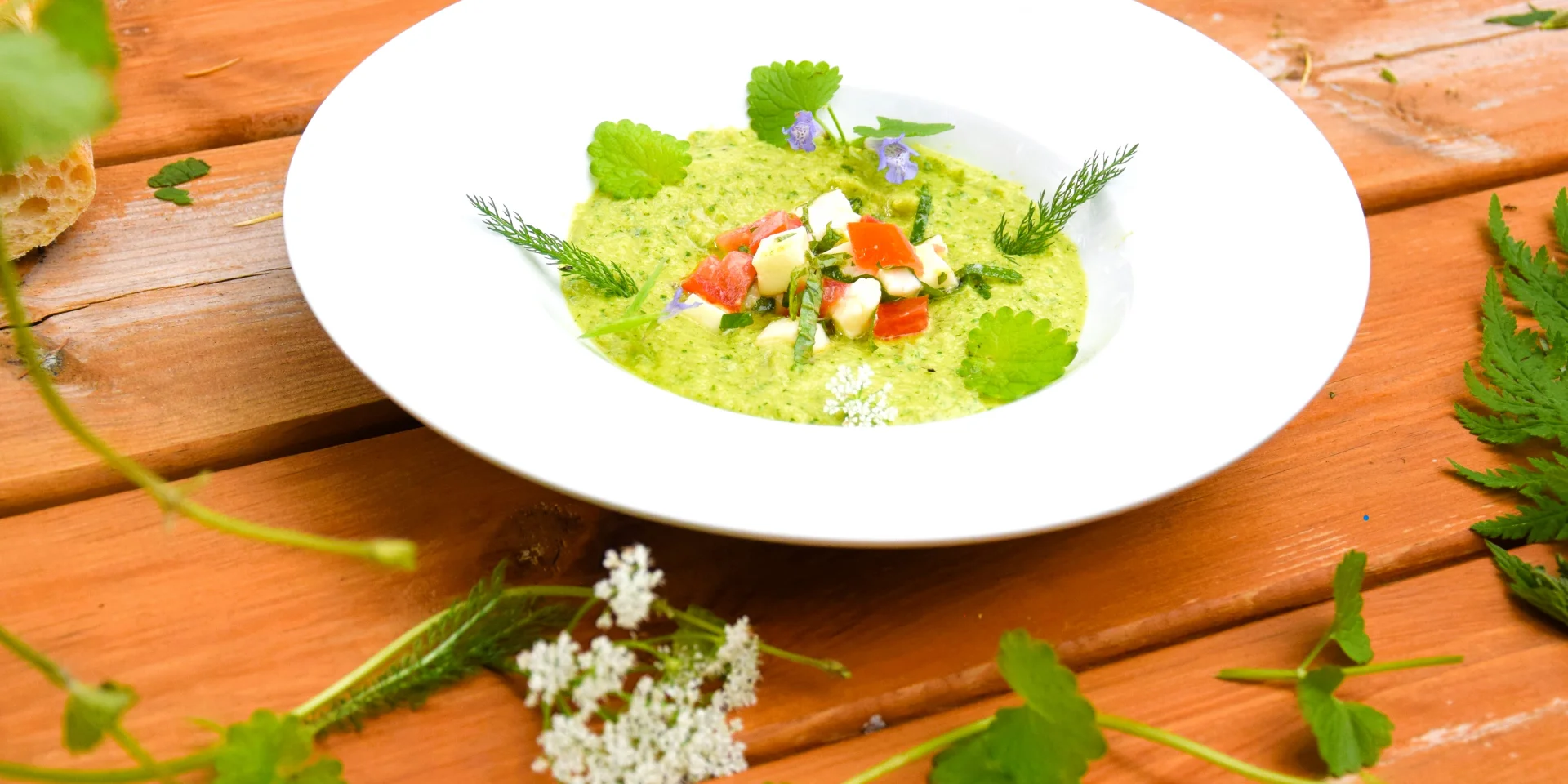 Gazpacho di zucchine con edera terrestre