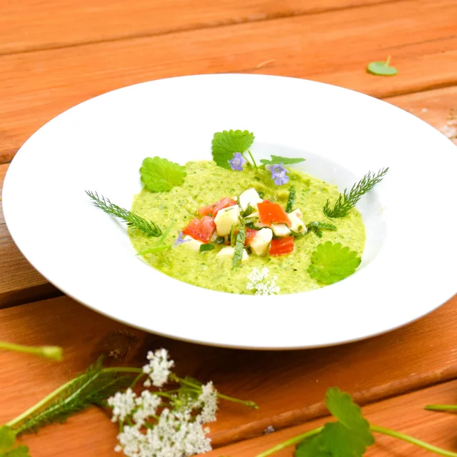 Gazpacho di zucchine con edera terrestre