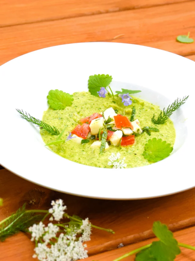 Gazpacho di zucchine con edera terrestre