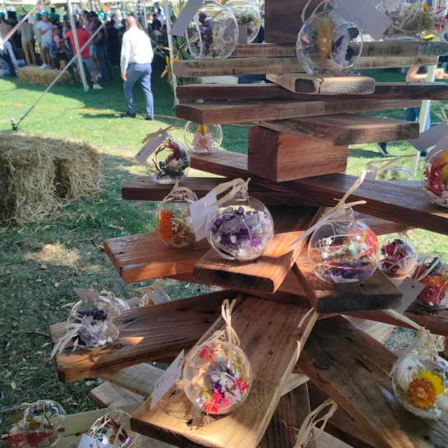 Boule Fleurs Sechees 2024 08 23
