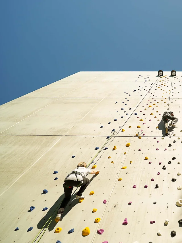 Il grande Varrape telefonico di Saleve