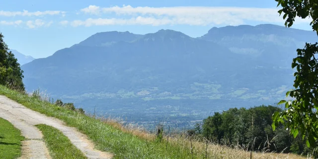 Balade Butorienne Archipelago Butor Rotated