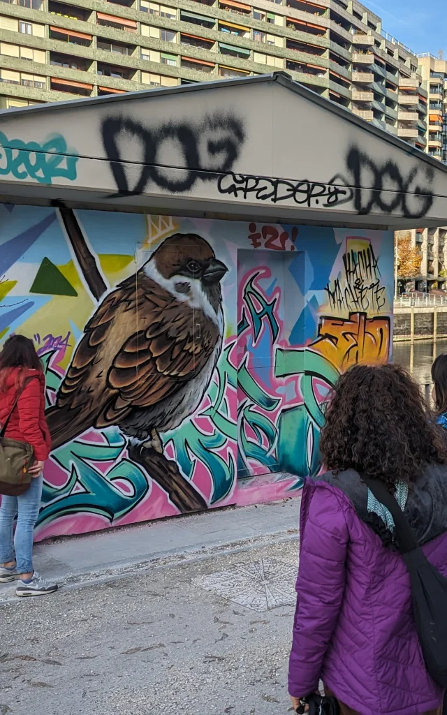 Pxl 20241124 134654306