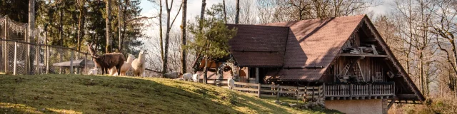 Il Grande Parco di Natale