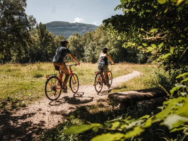 FILM DE DESTINATION - JOUR 2 - BOIS DE VERNAZ - ÉTÉ 2024