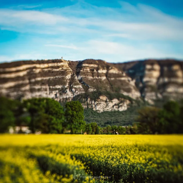 Instagram #saleve