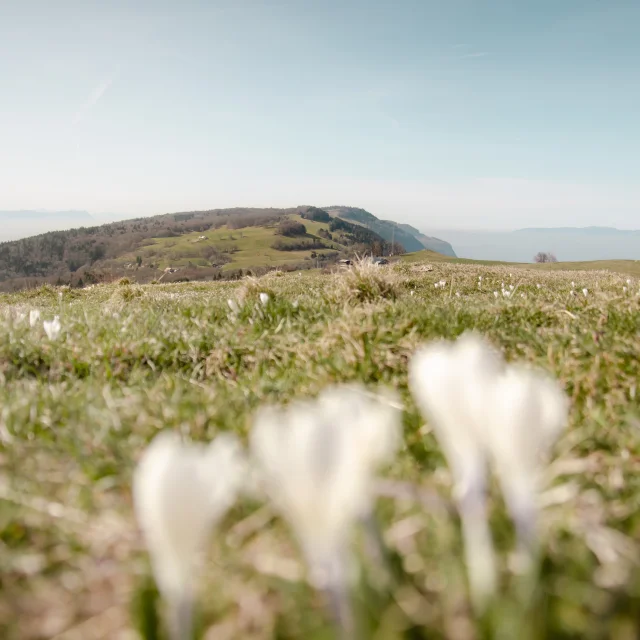 Vista sul Grand Piton e sul Col de la Croisette in primavera