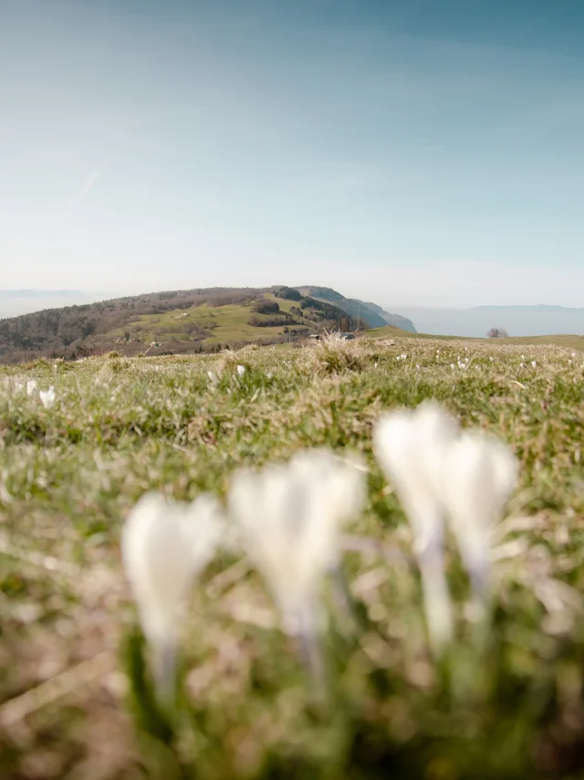 Vista sul Grand Piton e sul Col de la Croisette in primavera