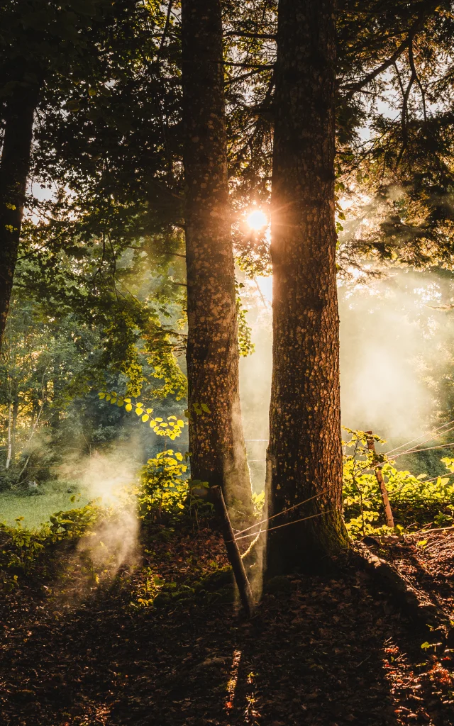 Film de destination - Jour 1 - Mulane Camp - Été 2024