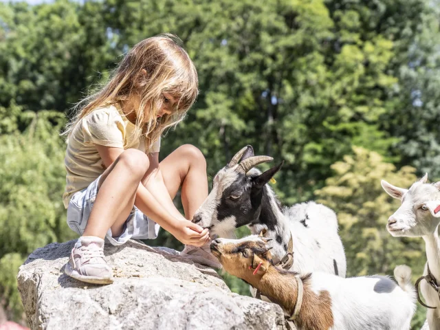 Grande Parco di Andilly