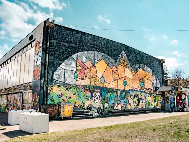 Street art - Saint-Julien-en-Genevois - Gymnase du Léman di Wozdat