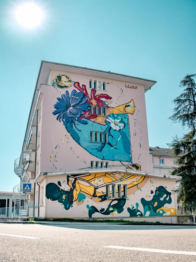 Street art - Saint-Julien-en-Genevois - Un bateau, une vie di Wozdat