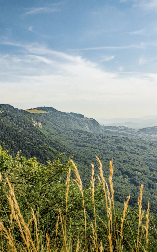 Vue sur le Genevois depuis le sentier de la Corraterie