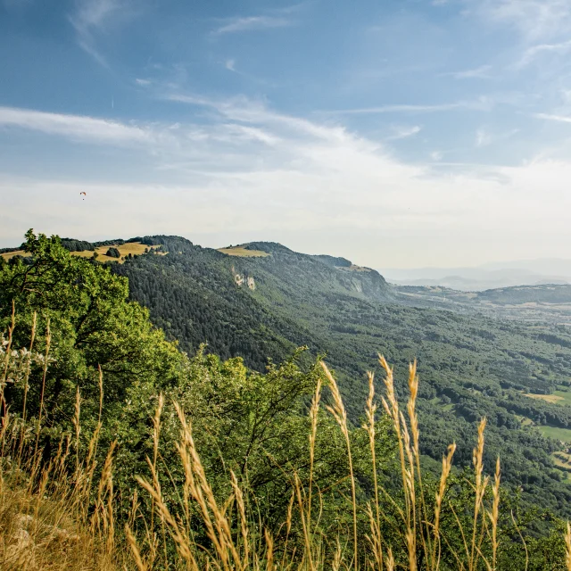 Vue sur le Genevois depuis le sentier de la Corraterie