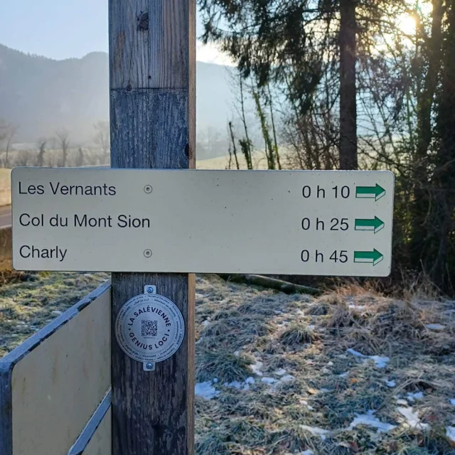 Medaille Genius Loci Panneau au Salève