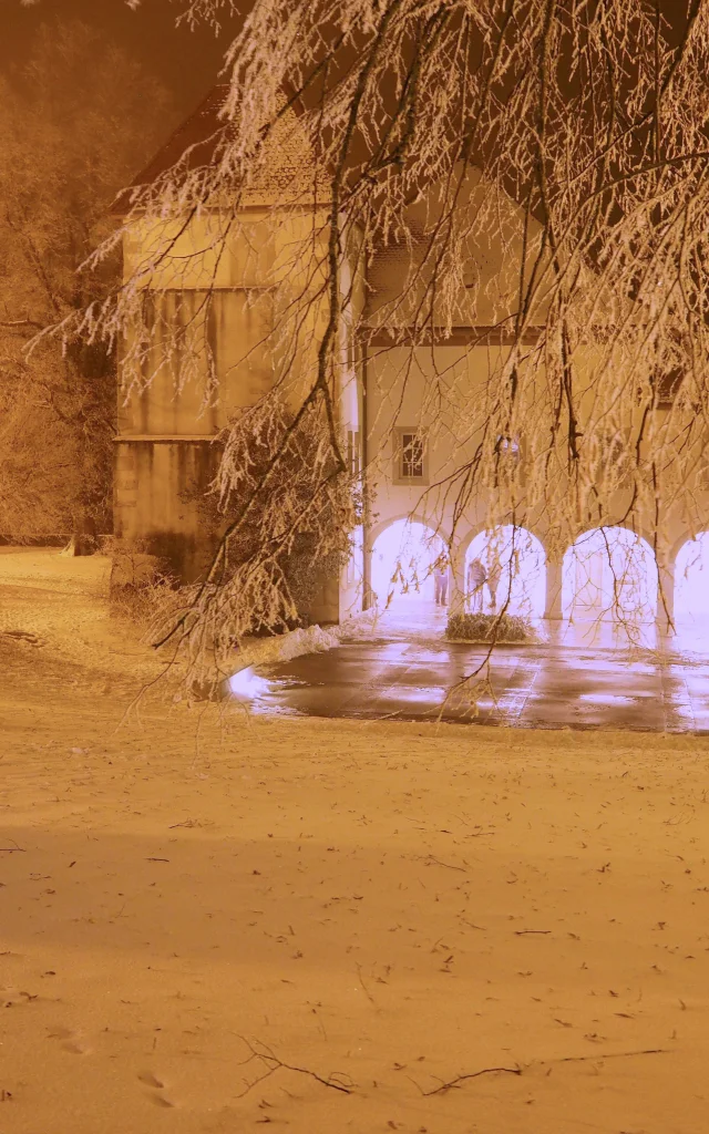 Chartreuse de pomier sous la neige