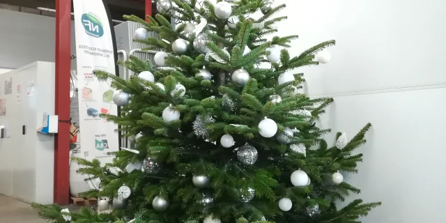 sapin noel naturelemen