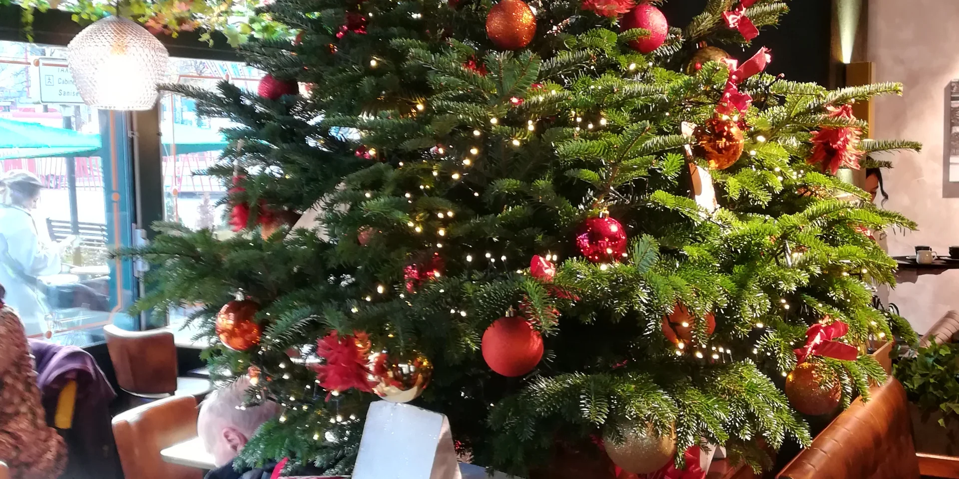 Sapin de noel NaturElement