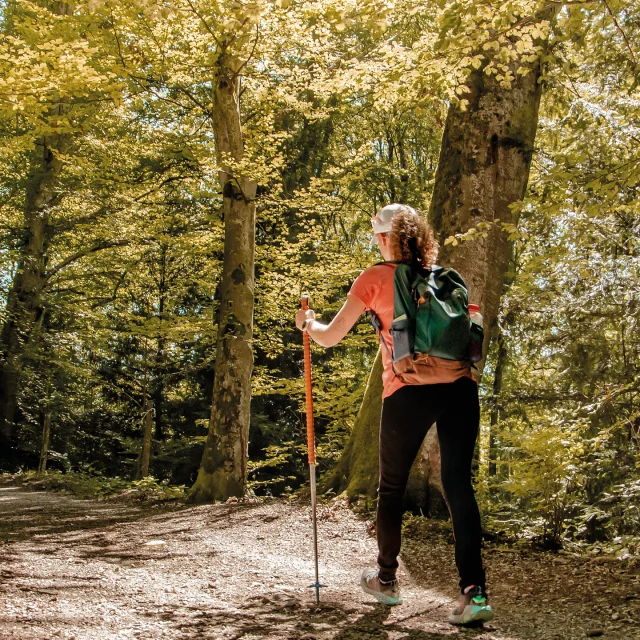 Instagram #montsdugenevois