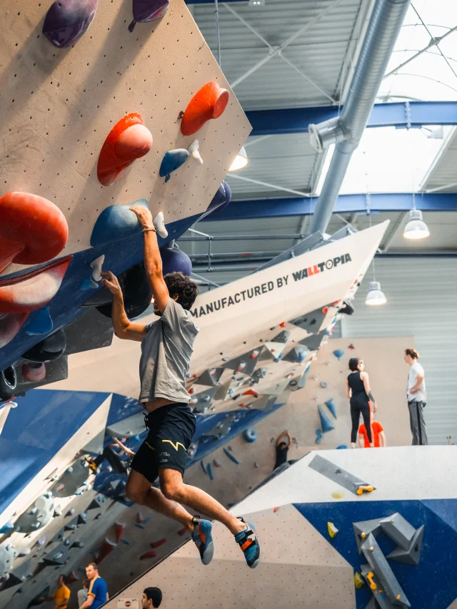 Rosa&Cavolo-Soggiorno d'influenza invernale