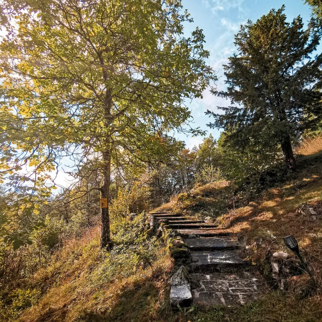 Instagram #montsdugenevois