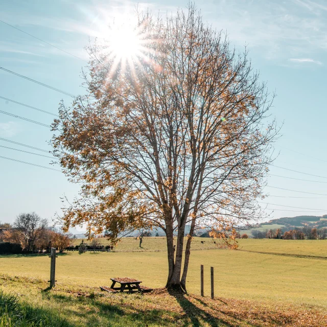 Instagram #montsdugenevois