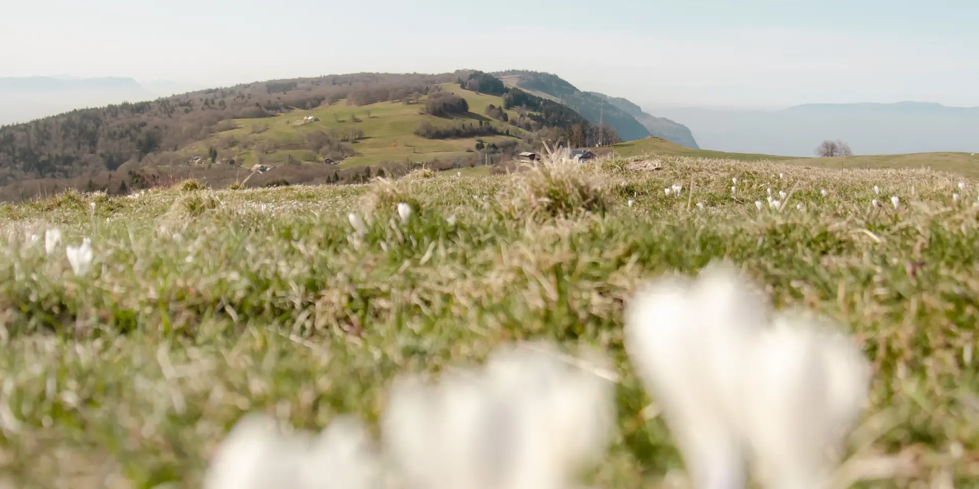 Vue sur le Grand Piton et le col de la Croisette au printemps