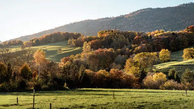 Plateau des Bornes à l'automne - Villy-le-Bouveret