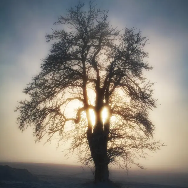 Instagram #montsdugenevois