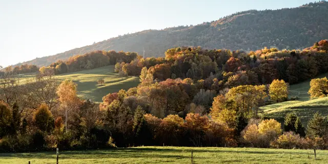 Plateau des Bornes à l'automne - Villy-le-Bouveret