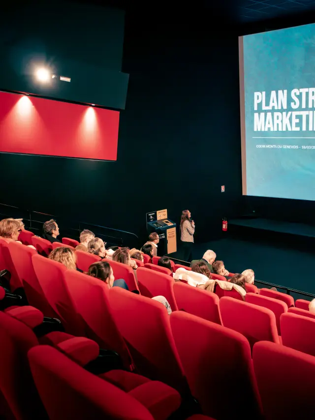 Séance CODIR du 18/03/2025