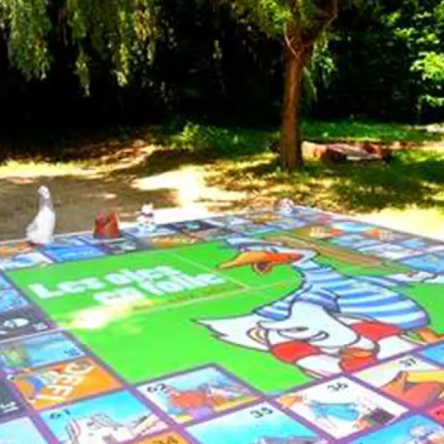 Jeu Oie Plateau