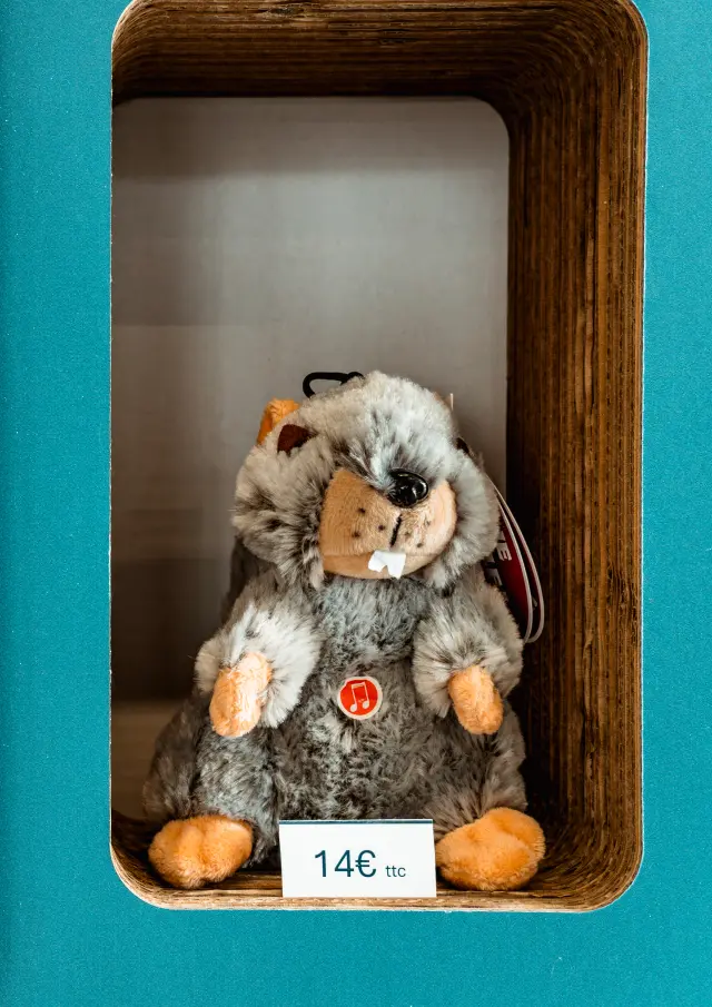 Tasse & Marmotte sifflante - Boutique Monts du Genevois - Maison de la Mobilité et du Tourisme