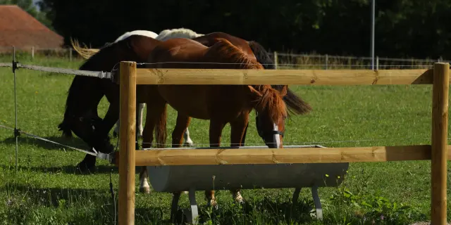 Cheval
