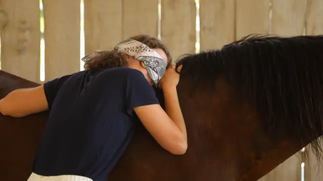 Seminaire Equitherapie Cheval