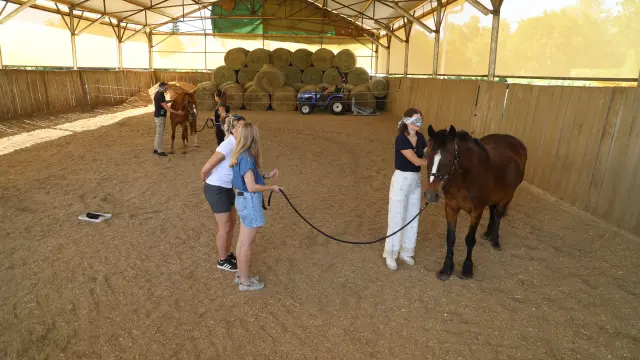 Atelier Sens Equivoc